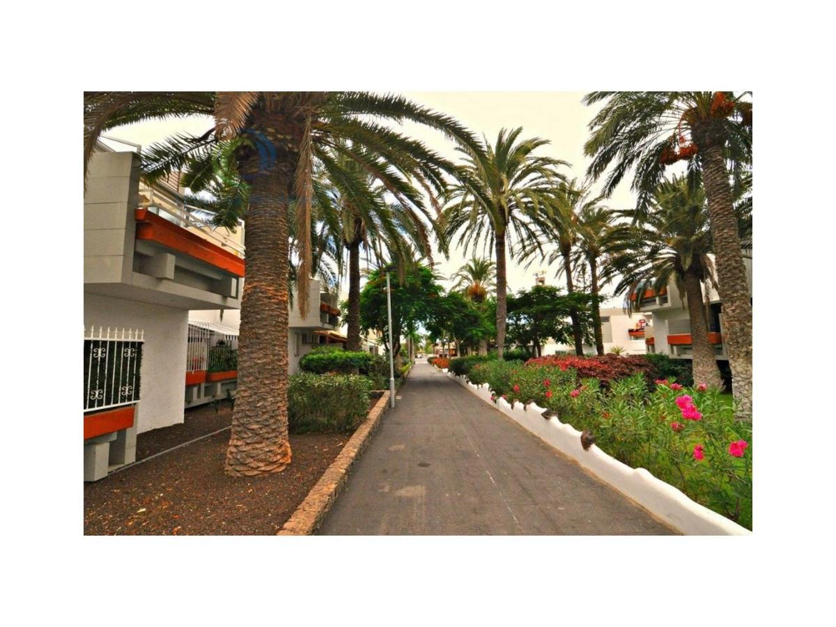 Apartamento Primavera Costa Del Silencio Ngoại thất bức ảnh